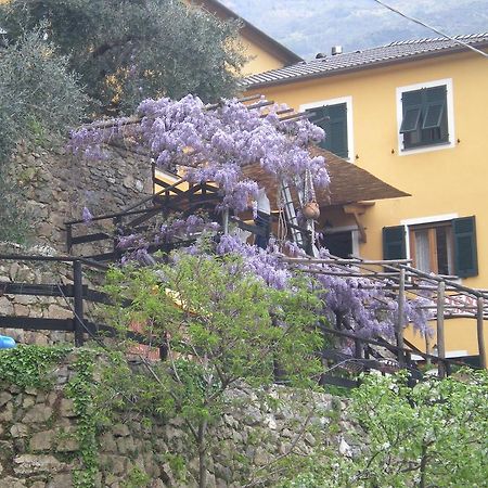 Agriturismo Il Sogno Lorsica Ngoại thất bức ảnh